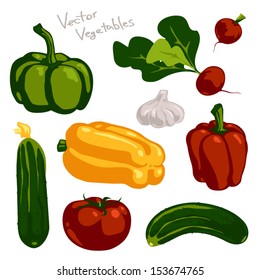 Fresh vegetables. Set of vector images, isolated on white. No gradients.