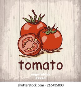 Fresh vegetables sketch background. Vintage hand drawing illustration of a tomato