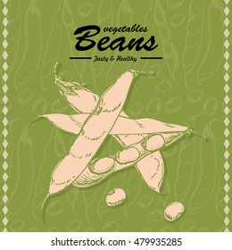 Fresh vegetables sketch background. Vintage hand drawing illustration of beans. Vector illustration for your design