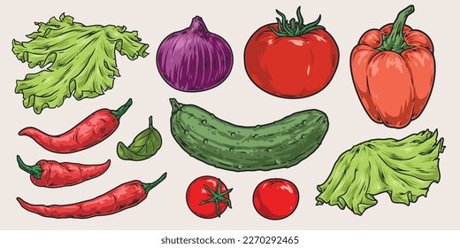 Fresh vegetables stickers set colorful with tomato and cucumber near onion and chili pepper for salad preparation vector illustration