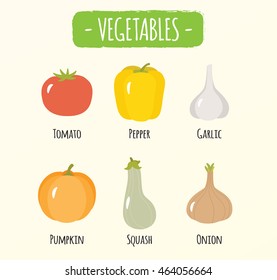 Fresh Vegetables Tomato, Pepper, Garlic, Pumpkin, Squash, Onion - Isolated Vector Illustration