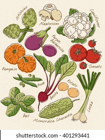 Fresh Vegetables vector background.