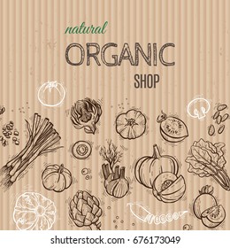 Fresh vegetables vector concept can be used in organic store, restaurant menu, cooking book, organic farm template. Healthy diet hand drawn vector style illustration.