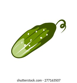 Fresh Vegetables Vector Concept of Cucumber