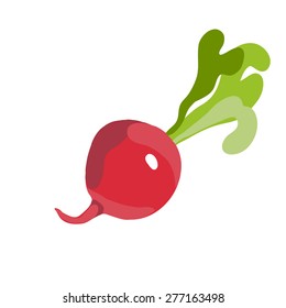 Fresh Vegetables Vector Concept of Radishes