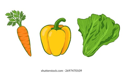 Vegetais frescos Ilustração vetorial - Alface, Paprica e Cenoura no fundo branco