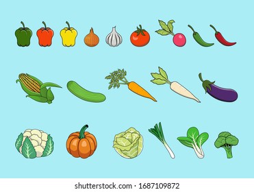 fresh vegetables vector ilustration set