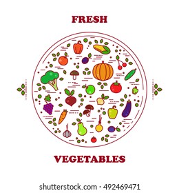 Fresh vegetables vector set. Autumn harvest illustration in line style. Farm nature healthy food. Organic fall banner.