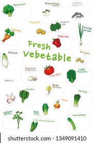 Fresh vegetables vector set, sticker isolated on white background, Broccoli, Paprika, Ginger, water parsley, Sesame leaf, Bean sprouts, Bok choy, Onion, Carrot, Leaf vegetable, Daikon, Tomato, Pleurot