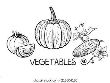 fresh vegetables vector sketch