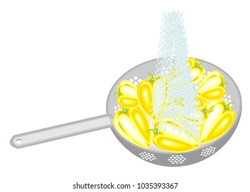 Fresh vegetables are washed under running water. In a colander ripe pepper. Collected fruits should be eaten clean. Vector illustration.
