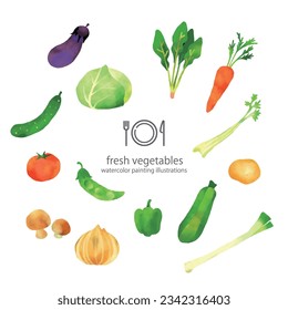 fresh vegetables, watercolor painting illustration