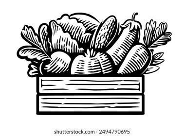 Fresh vegetables in wooden box. Farm organic food. Hand drawn sketch vintage vector illustration