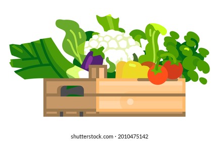 Fresh vegetables in wooden box. Tomatoes, cauliflower, eggplant, leek, greens and bell peppers. Vector illustration