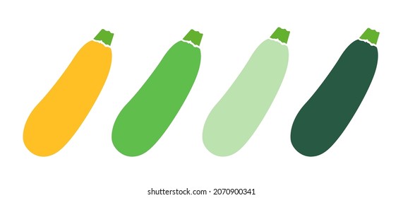 Fresh vegetables. Zucchini in a flat style. vector illustration isolated on a white background