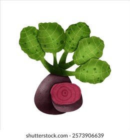 "Fresh and vibrant beetroot with a rich, earthy hue, perfect for healthy lifestyle visuals. Ideal for food, wellness, and organic themes, showcasing natural beauty and nutritious appeal."