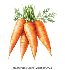 Fresh, vibrant illustration of three orange carrots with lush green tops. Perfect for healthy eating, gardening, or organic food themes. Ideal for blogs, websites, and marketing materials.