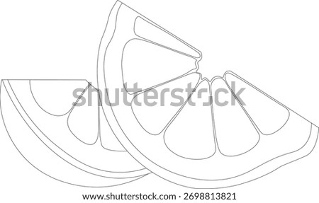 Fresh and vibrant orange fruit vector illustration created in Adobe Illustrator.