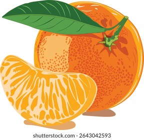 Fresh and vibrant vector illustration of a juicy orange with leaves. Perfect for food packaging, juice branding, kitchen decor, and healthy lifestyle designs. Fully editable and high-quality EPS file.