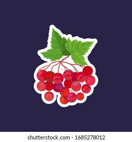 fresh viburnum icon tasty ripe fruit berry healthy food concept vector illustration