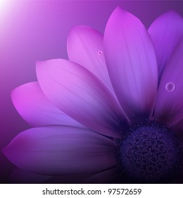 Fresh Violet Gerber, Vector Illustration
