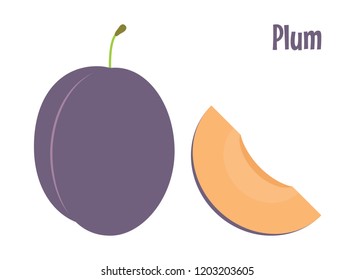 Fresh violet plum and a piece. Raw food vector illustration. 