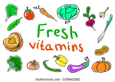 fresh vitamins vector illustration