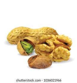 Fresh walnut, nutritious pistachios, tasty peanut. Nuts ingredients in triangulation technique. Vector illustration. Nuts ingredients in triangulation technique. Walnut, peanut and pistachios low poly
