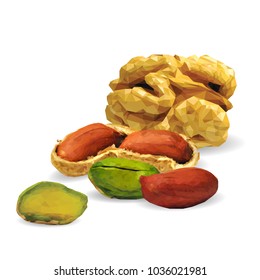 Fresh walnut, nutritious pistachios, tasty peanut. Nuts ingredients in triangulation technique. Vector illustration. Nuts ingredients in triangulation technique. Walnut, peanut and pistachios low poly