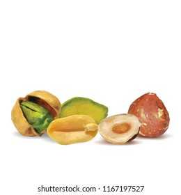 Fresh walnut, nutritious pistachios, tasty peanut and hazelnut. Nuts ingredients in triangulation technique. Vector illustration. Nuts ingredients in triangulation technique. Hazelnut low poly.