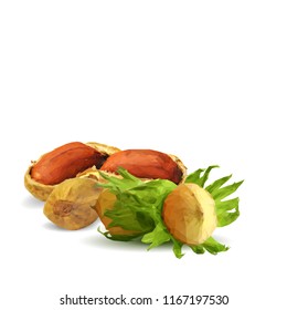 Fresh walnut, nutritious pistachios, tasty peanut and hazelnut. Nuts ingredients in triangulation technique. Vector illustration. Nuts ingredients in triangulation technique. Hazelnut low poly.