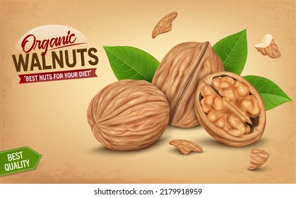 Fresh Walnut Vector illustration with Walnut kernel leaves and pieces on brown background 