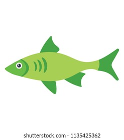 
A Fresh Water Green Color Fish Depicting Green Sunfish 
