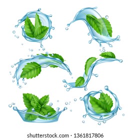 Fresh water mint. Liquid splashes with green menthol leaf for drink vector realistic collection