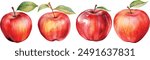 fresh watercolor apples fruit set collection vector illustration design