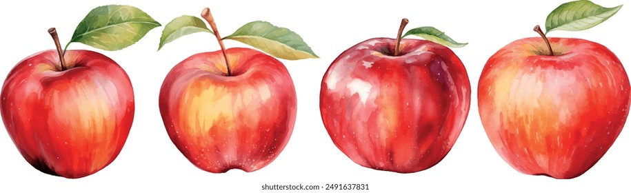 fresh watercolor apples fruit set collection vector illustration design