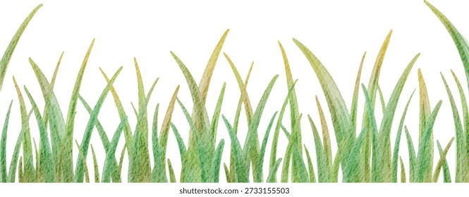 A fresh watercolor horizontal border featuring hand painted green grass and leaves. Ideal for website footers, spring themed banners, and nature inspired stationery designs on a clean white background.