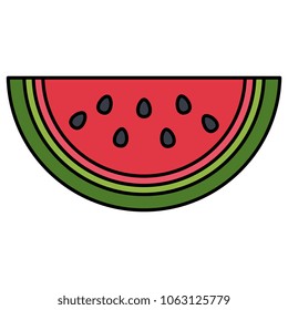 fresh watermelon fruit icon