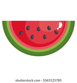fresh watermelon fruit icon