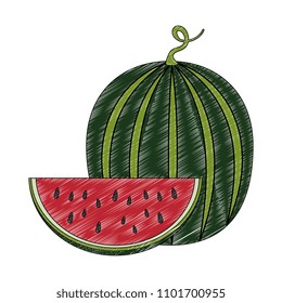 fresh watermelon fruit icon
