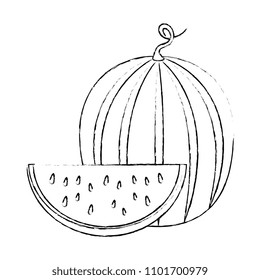 fresh watermelon fruit icon