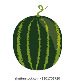 fresh watermelon fruit icon