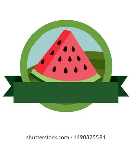 fresh watermelon fruit with ribbon stamp