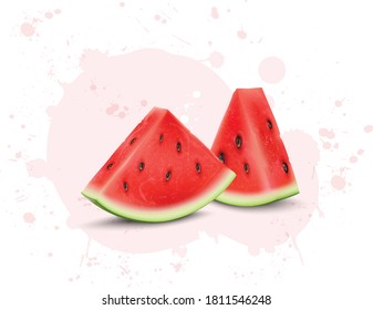 Fresh Watermelon Fruit slices vector illustration