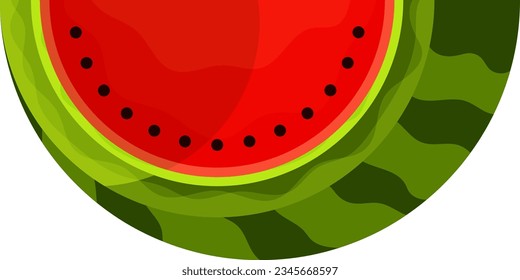 fresh watermelon fruit vector single illustration