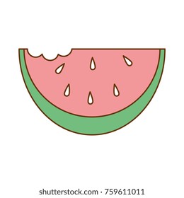 fresh watermelon isolated icon