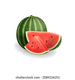 fresh watermelon isolated on a white background. vector illustration