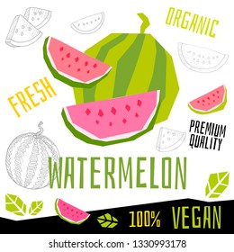 Fresh watermelon melon berry berries fruits organic vegan food vector hand drawn illustrations