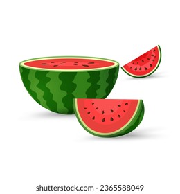 Fresh Watermelon organic fruits with Two cut of sliced piece and juicy watermelon slice vector illustration in flat design isolated on white background