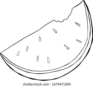 Fresh watermelon, summer fruit. Organic vegetarian food drawing. Color flat vector illustration. Cartoon isolated on a white background.